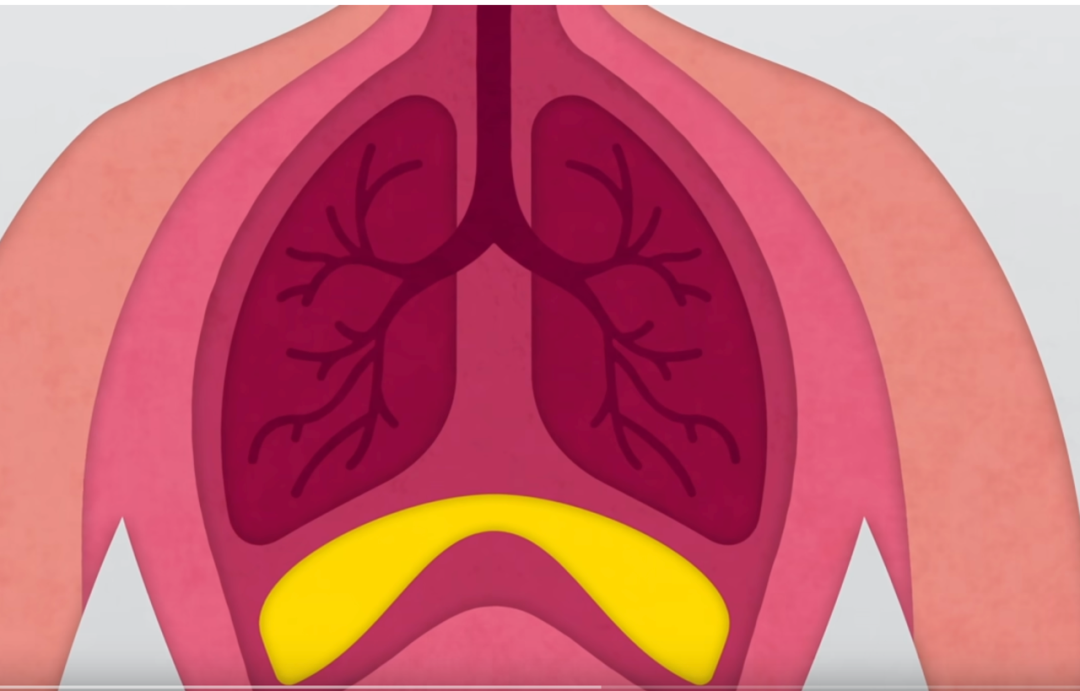 Exhale image of diaphragm as part of the powerhouse in pilates